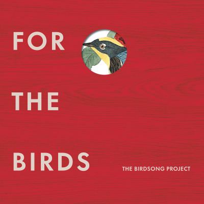 Grammy-Winning For The Birds: The Birdsong Project and The National Audubon Society Partner On Summer Of Birds Programming